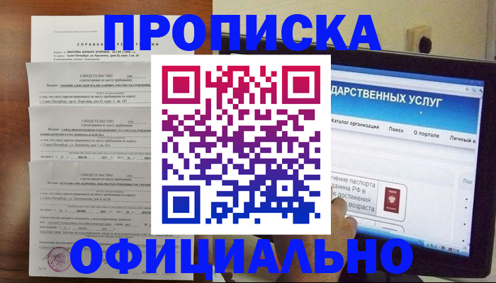 временная регистрация для школы в Щёкино